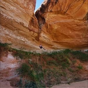 Meet your Posher, Malinda